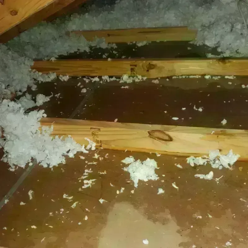 Attic Water Damage in Lindsay, CA