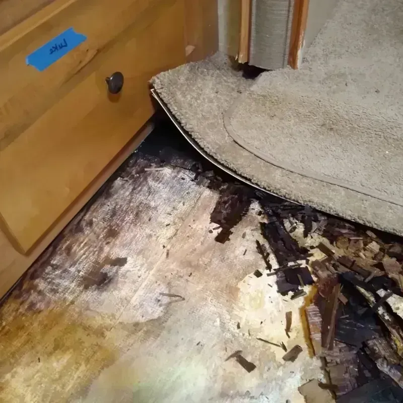 Wood Floor Water Damage in Lindsay, CA